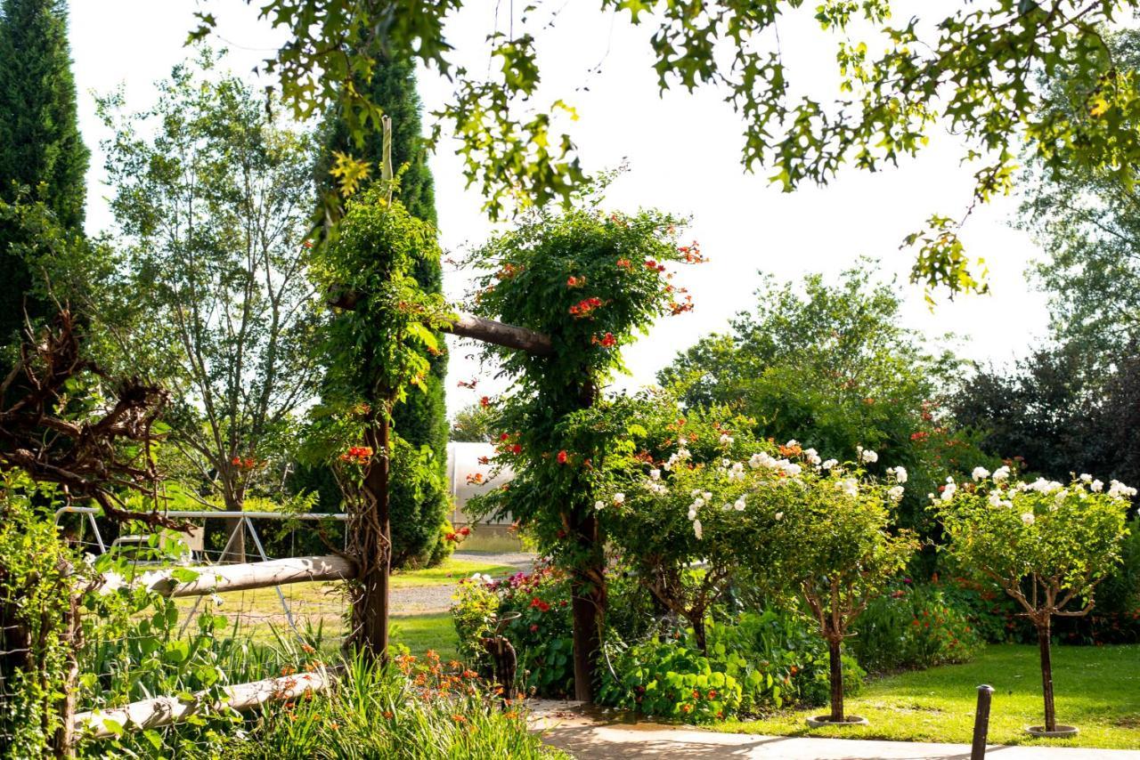 Wetlands Country House & Sheds Wakkerstroom Exterior foto